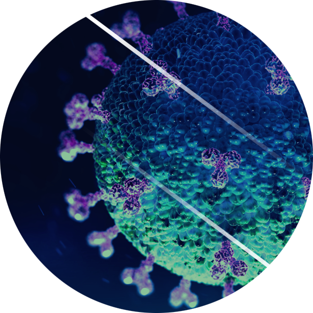 probe-img