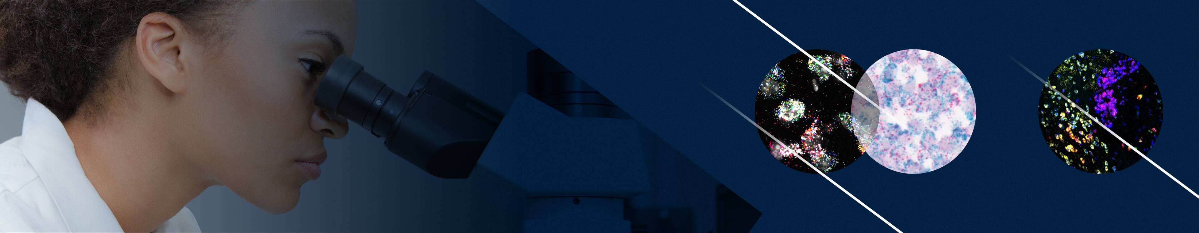 probeset-banner